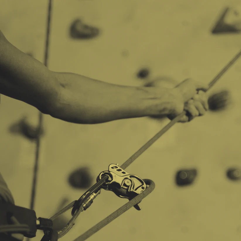 Dynamic Movement