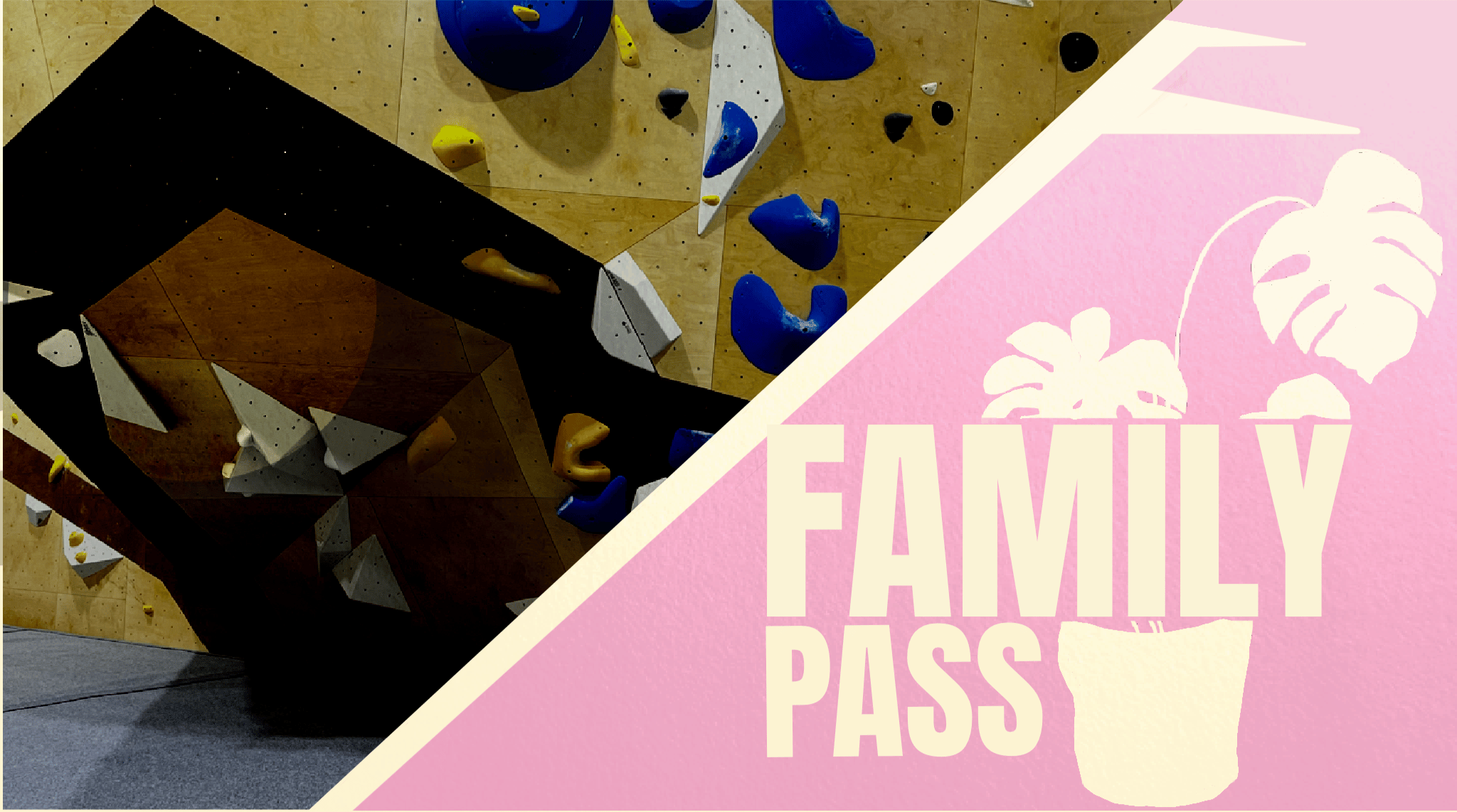 Family Pass
