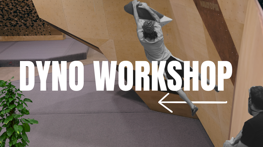 Dyno Workshop