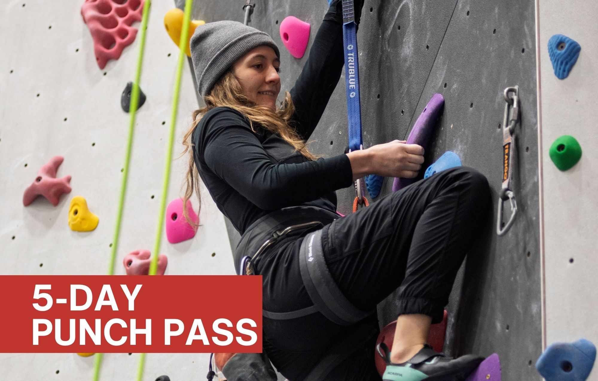 5-Day Punch Pass