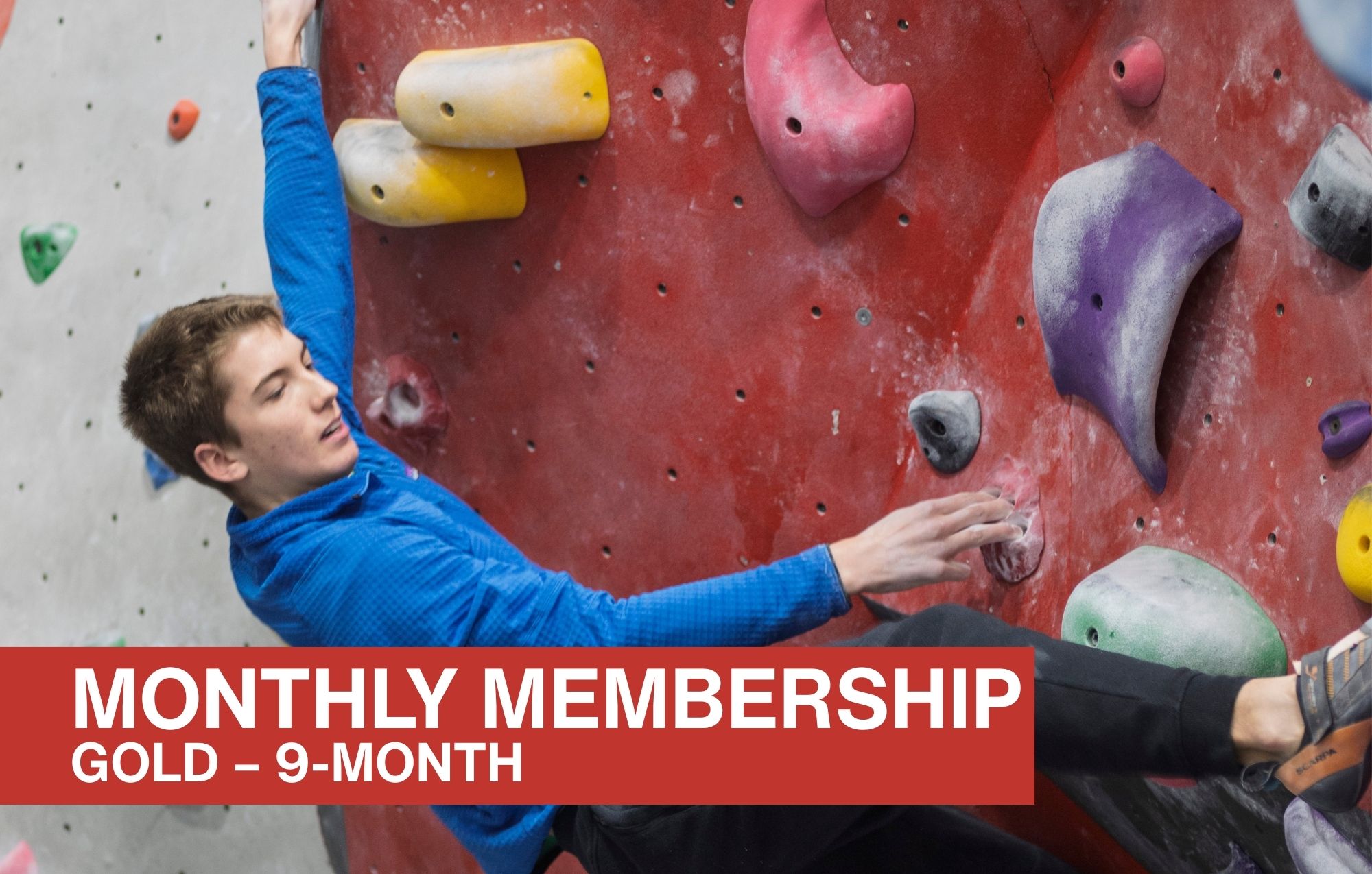 Gold Membership