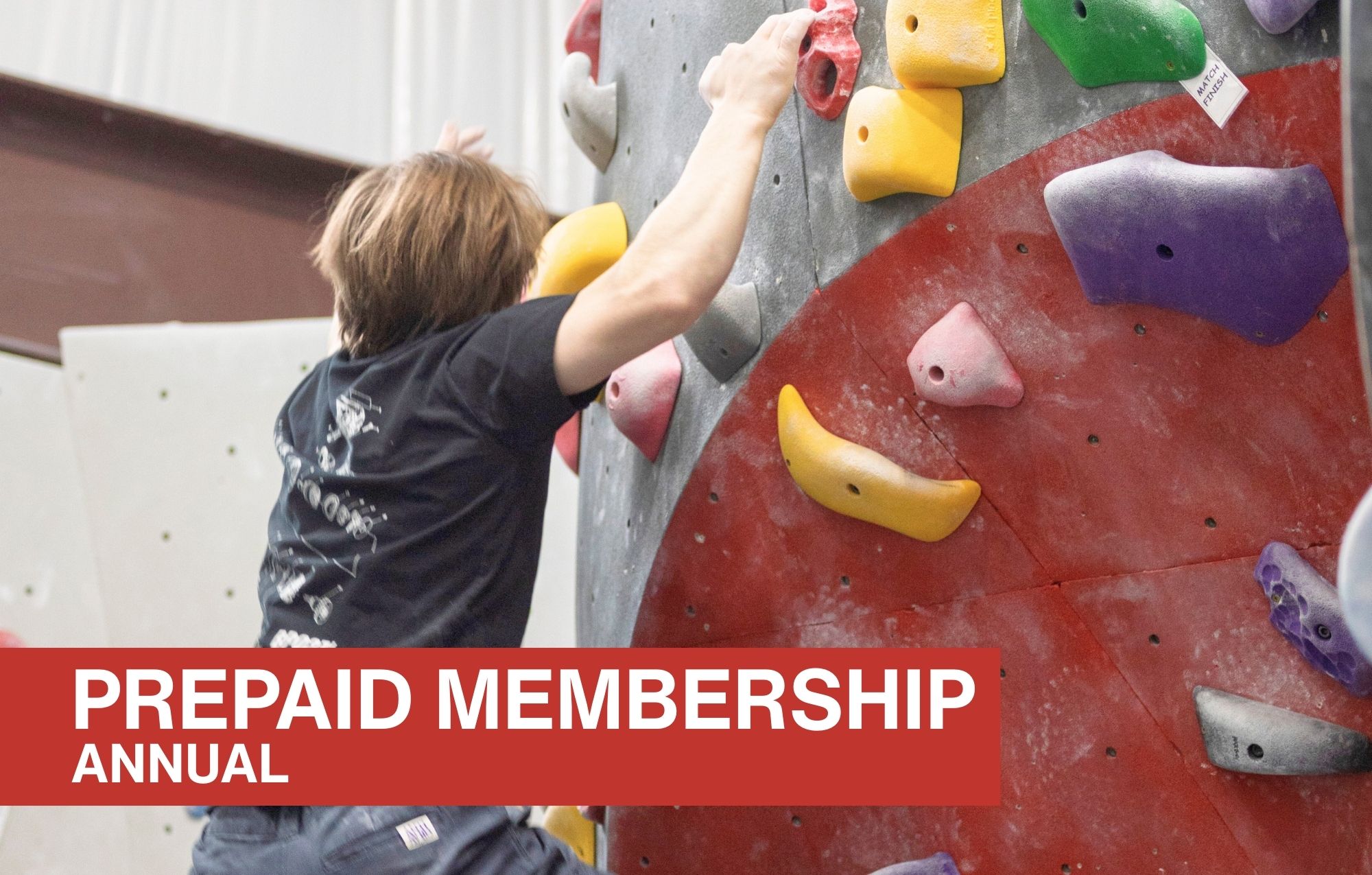 Annual Prepaid Membership