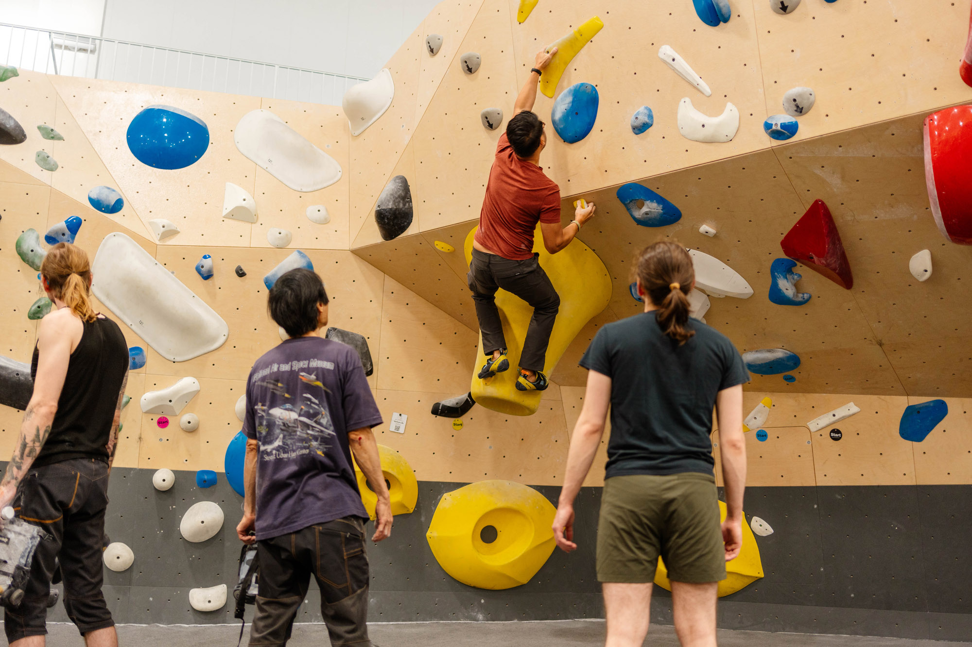 Lorton Founding Ambassador - Access Now