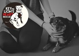 Puppy Yoga - Adoption Event