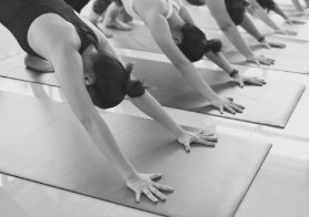 Yoga Alignment Workshop (Sun Salutations)