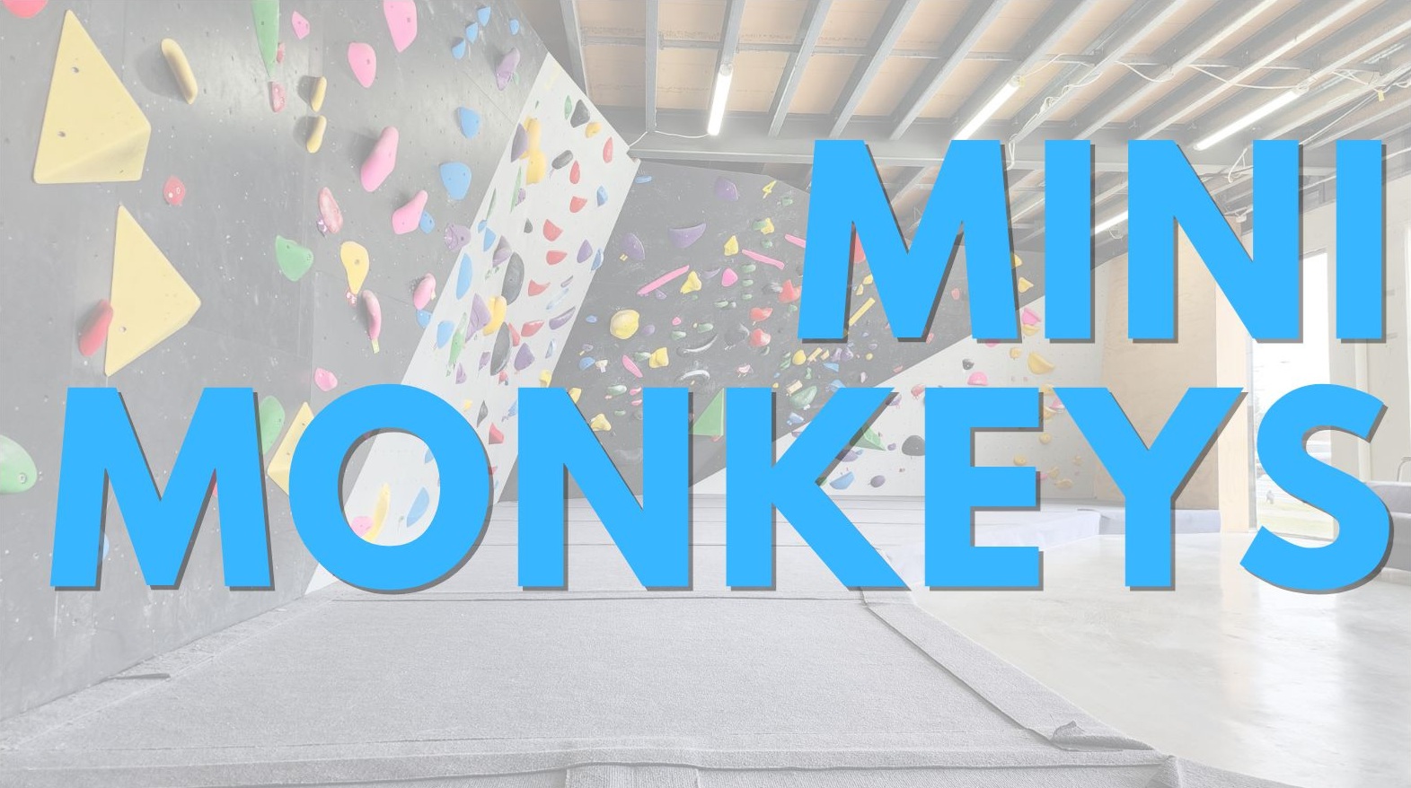 Mini Monkeys