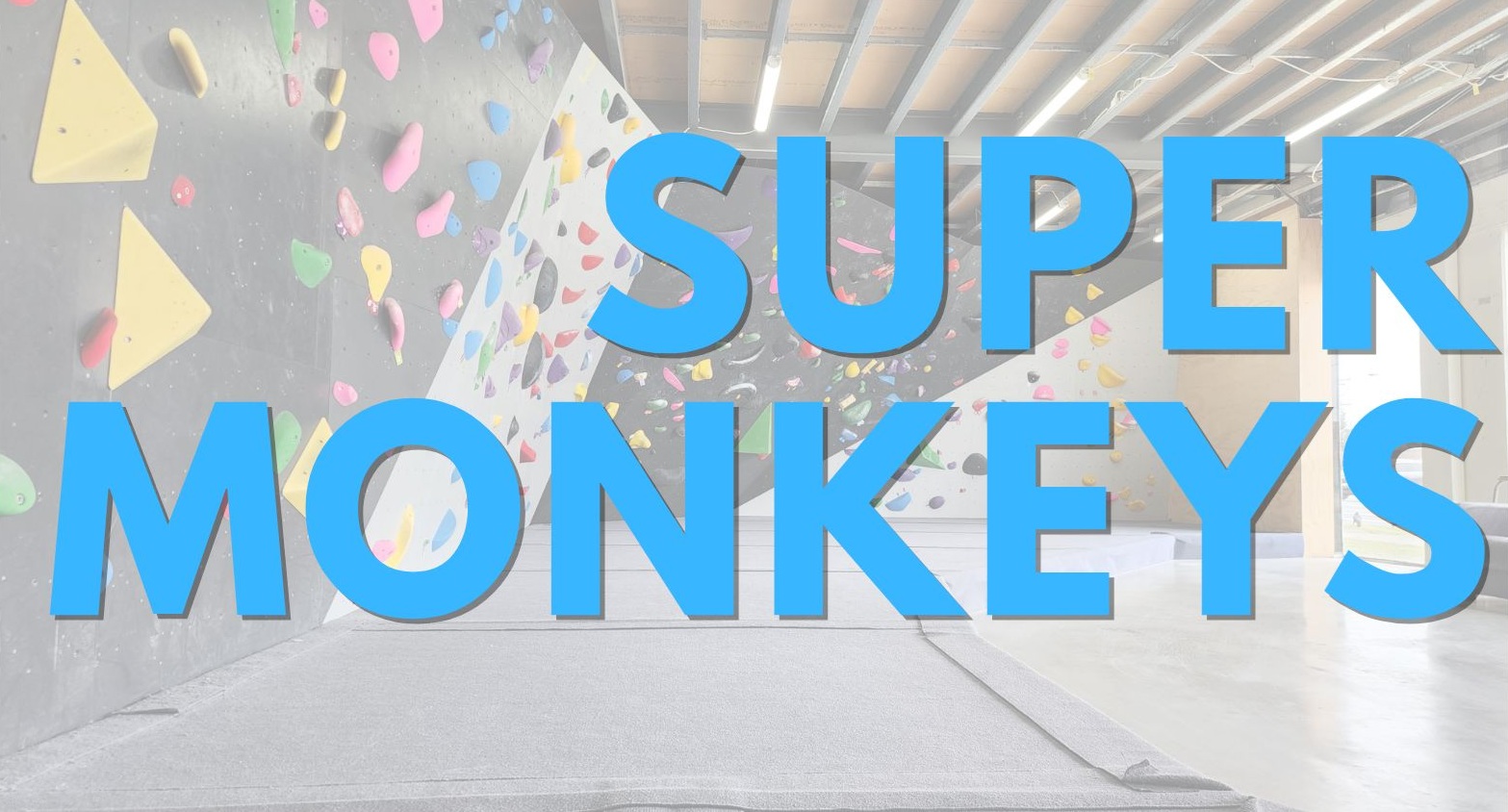 Super Monkeys
