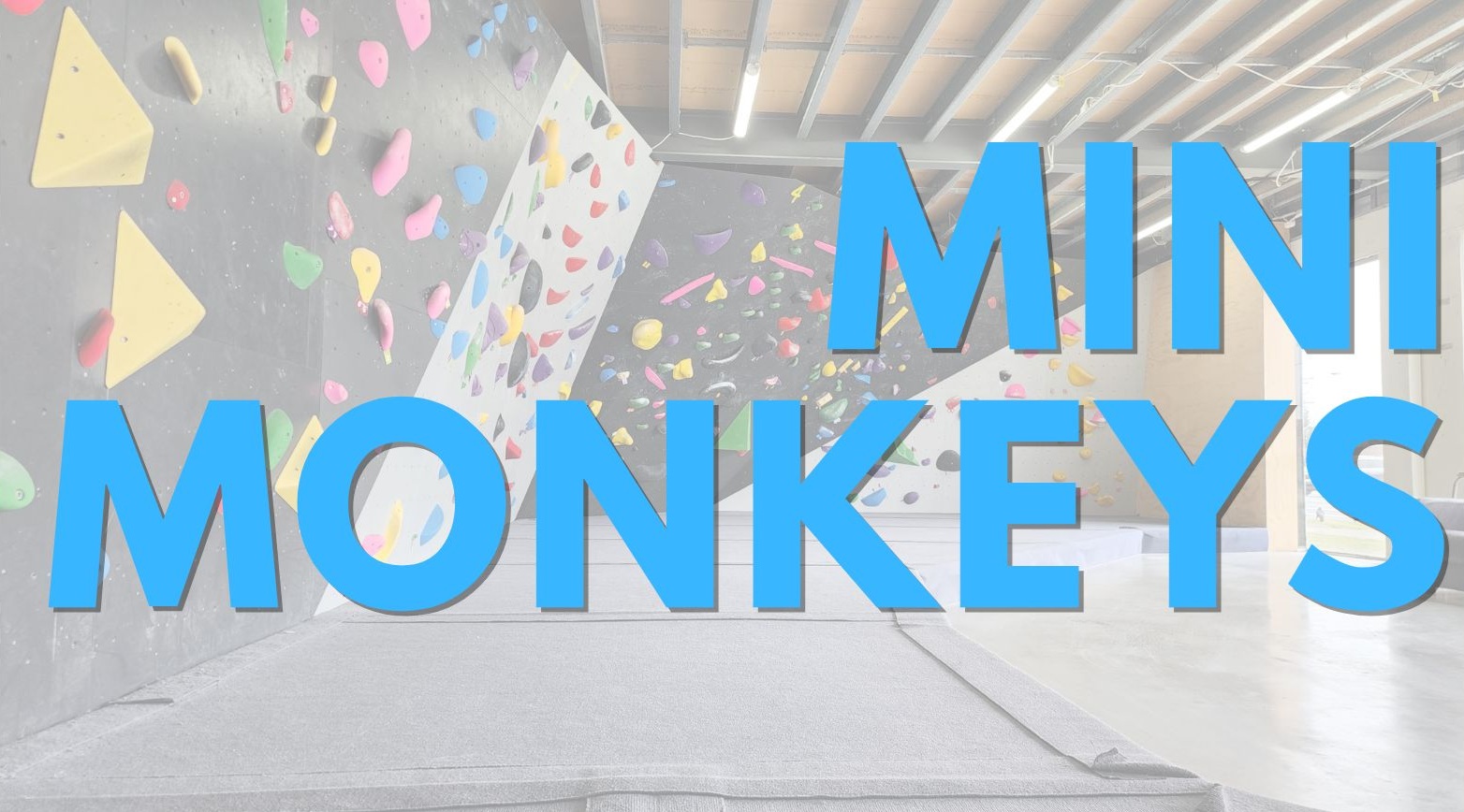 Mini Monkeys 10x Class Pass