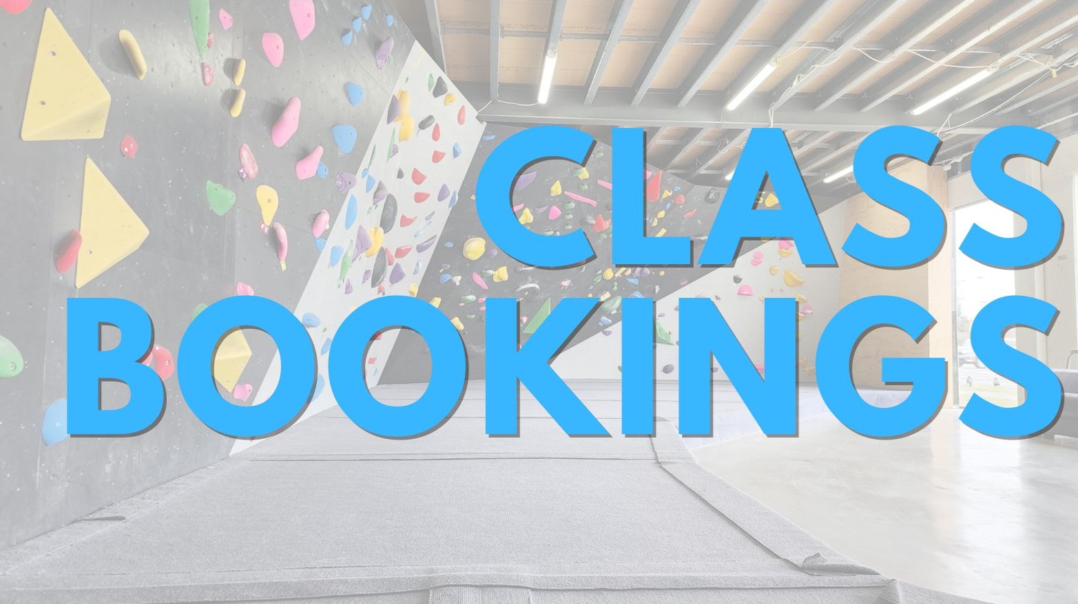 Super Monkeys Class Bookings