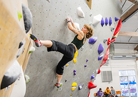 Prepaid Annual Membership