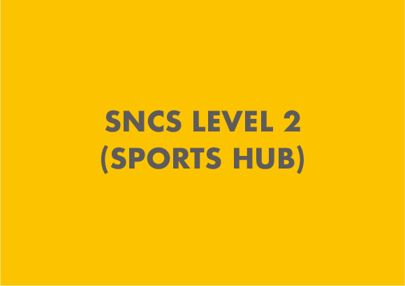 SNCS Level 2