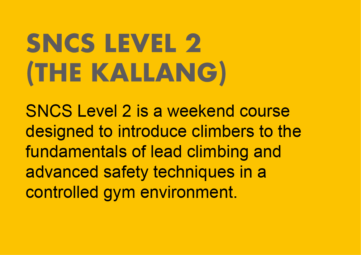 SNCS Level 2