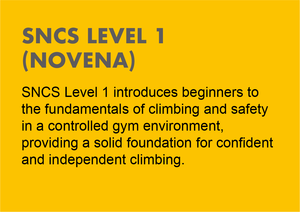 SNCS Level 1