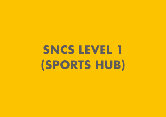 SNCS Level 1