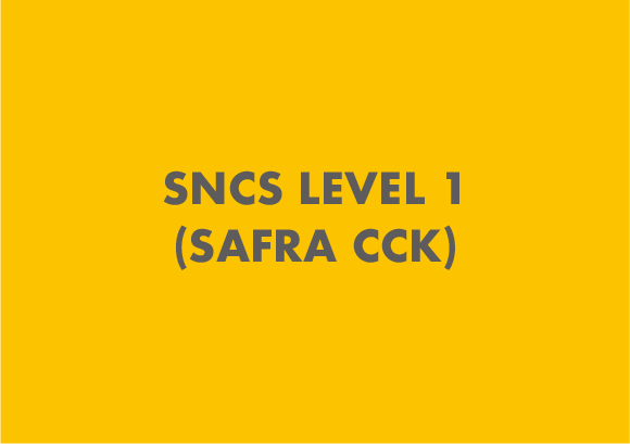 SNCS Level 1