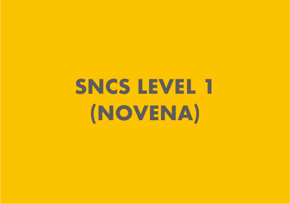 SNCS Level 1