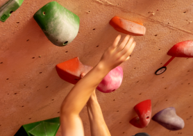 Sequencing & Visualization