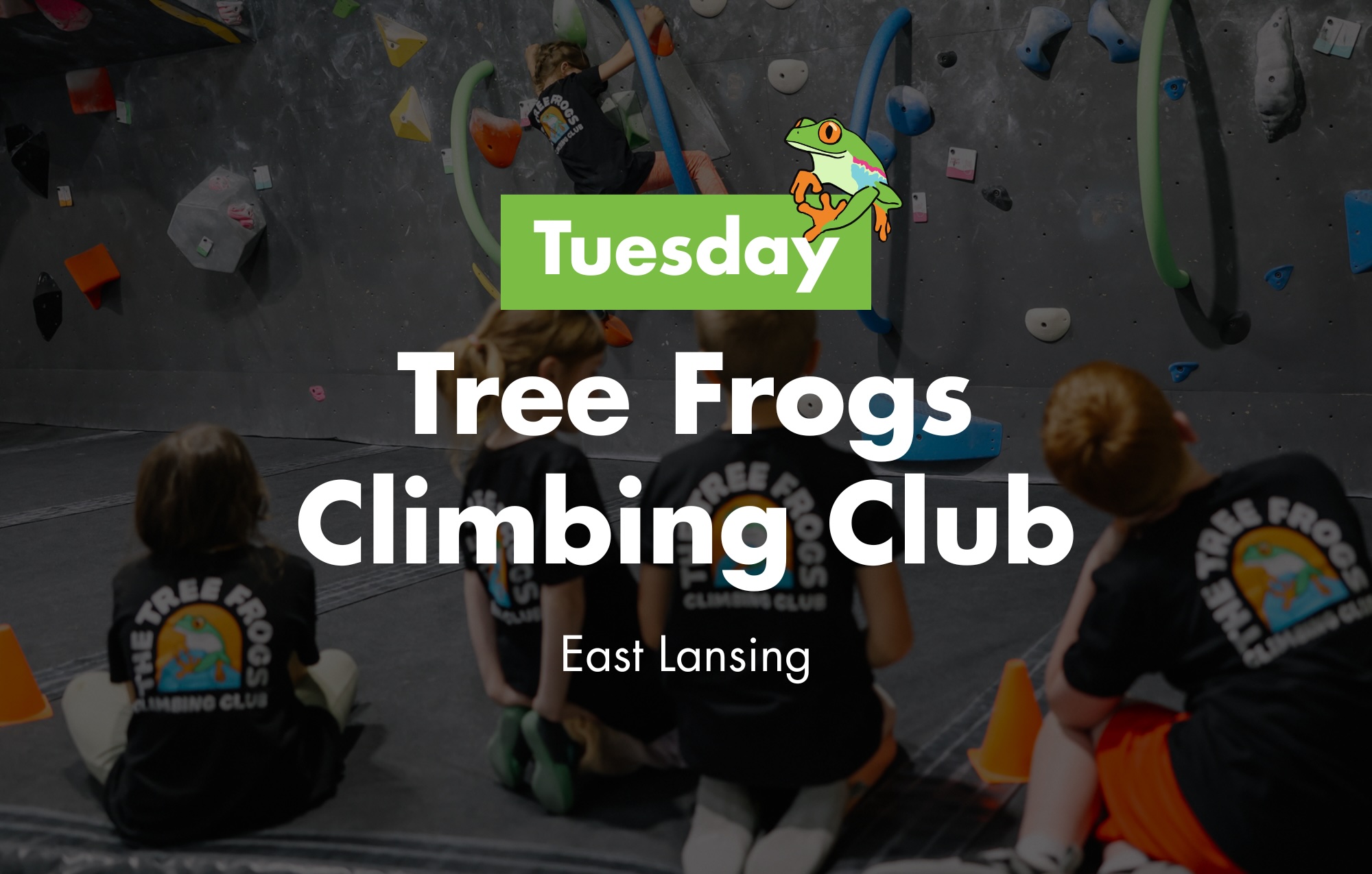 Tree Frogs - Tuesday