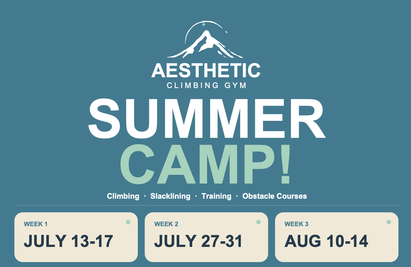 ACG Summer Camp