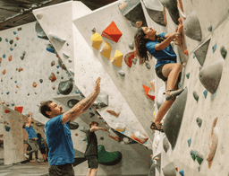 Competitive Team (3 Days/week Fortnightly)