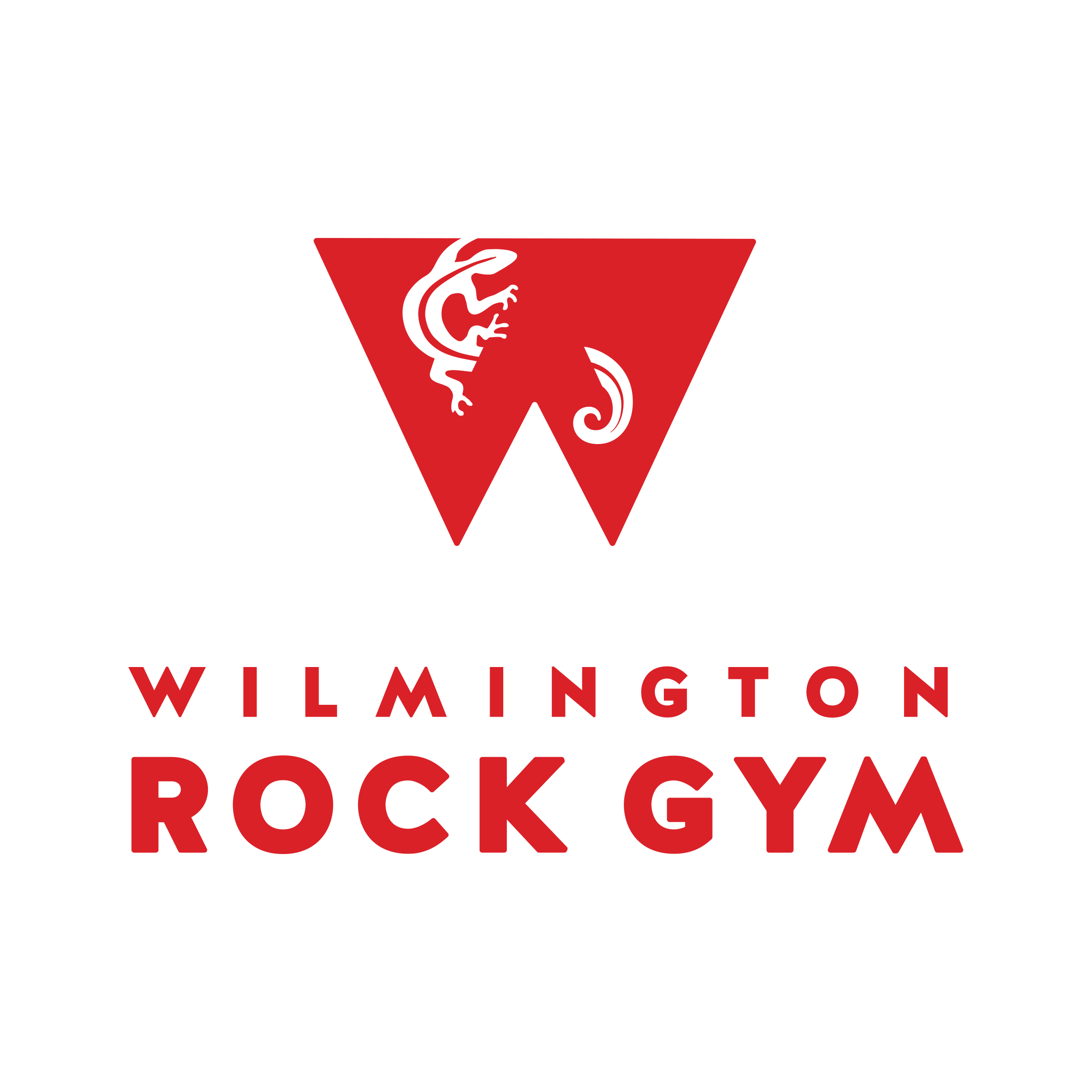 Wilmington Rock Gym