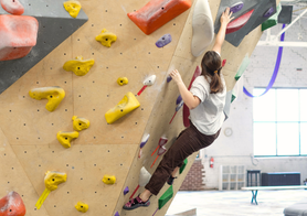 Beginner Adult Technique Series