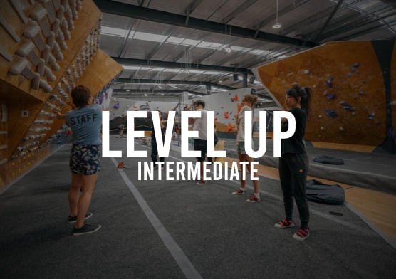 Level Up Intermediate