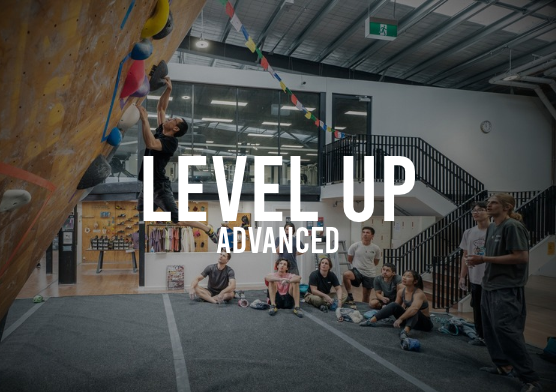 Level Up Advanced