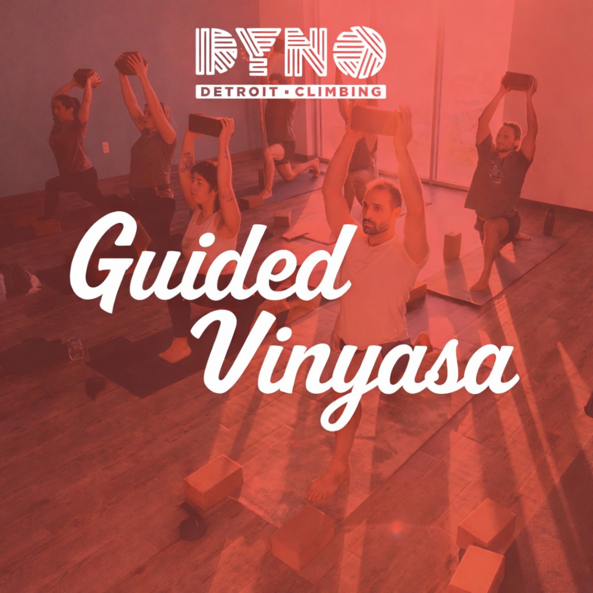 Guided Vinyasa