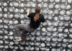 Womens+ Board Social