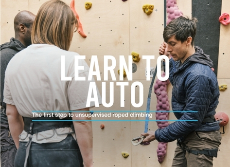 Learn to Auto