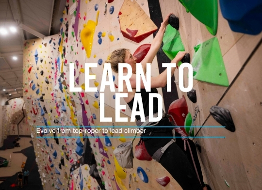 Learn to Lead