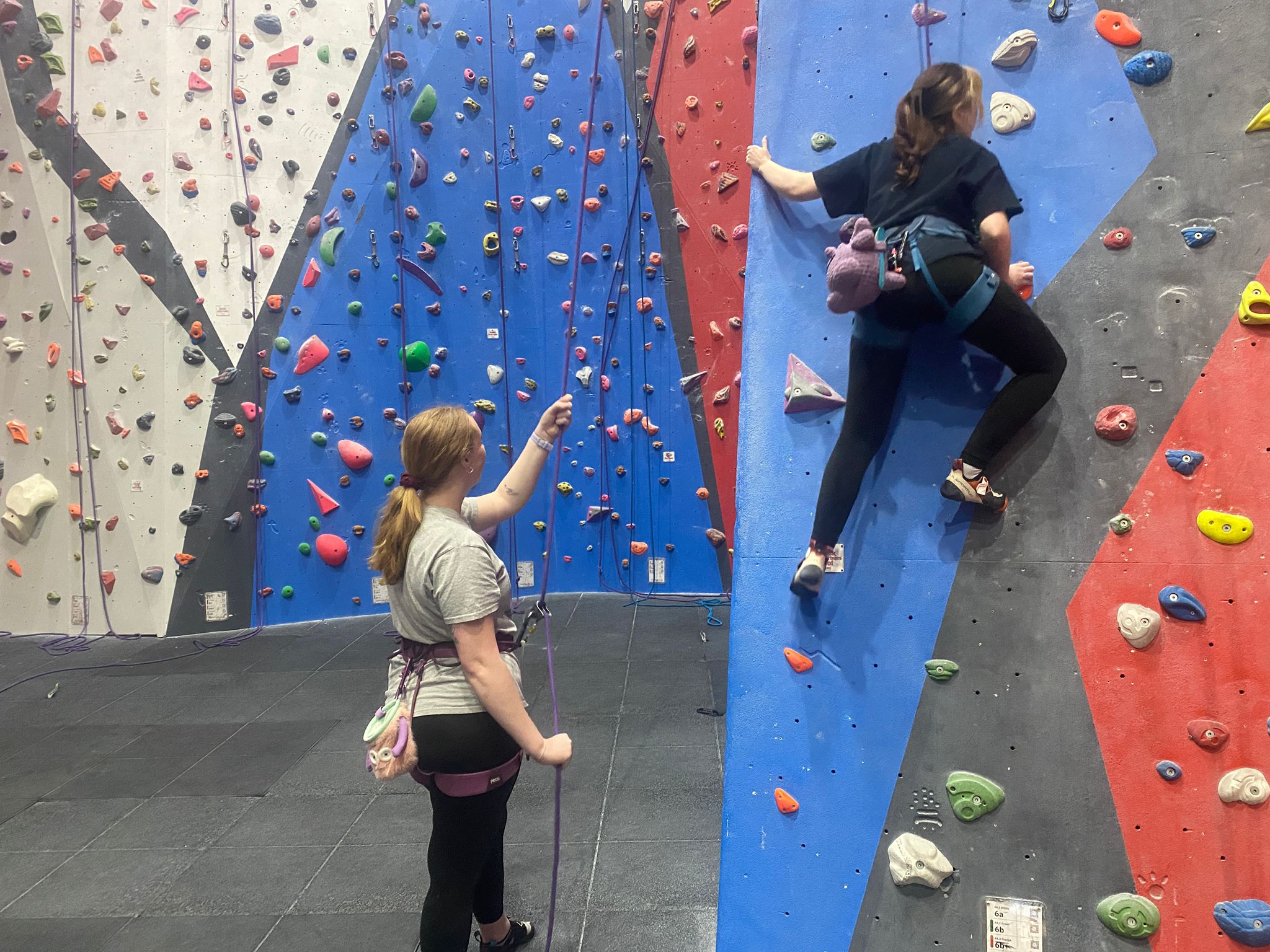 ADULT OVER 18 Acknowledgement of Risk- Competent Climber