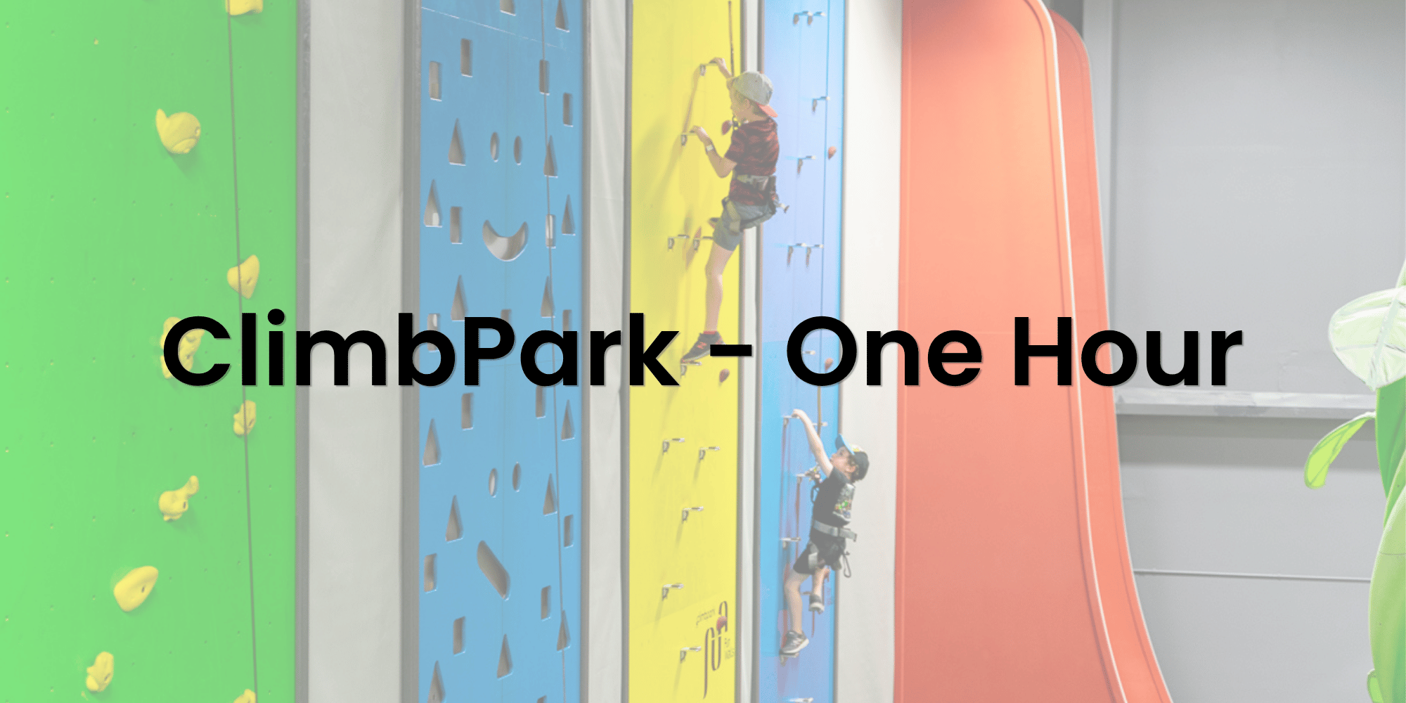 ClimbPark 1-hour Session