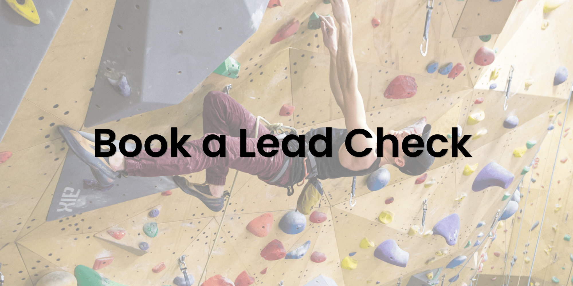 Scheduled Lead Check