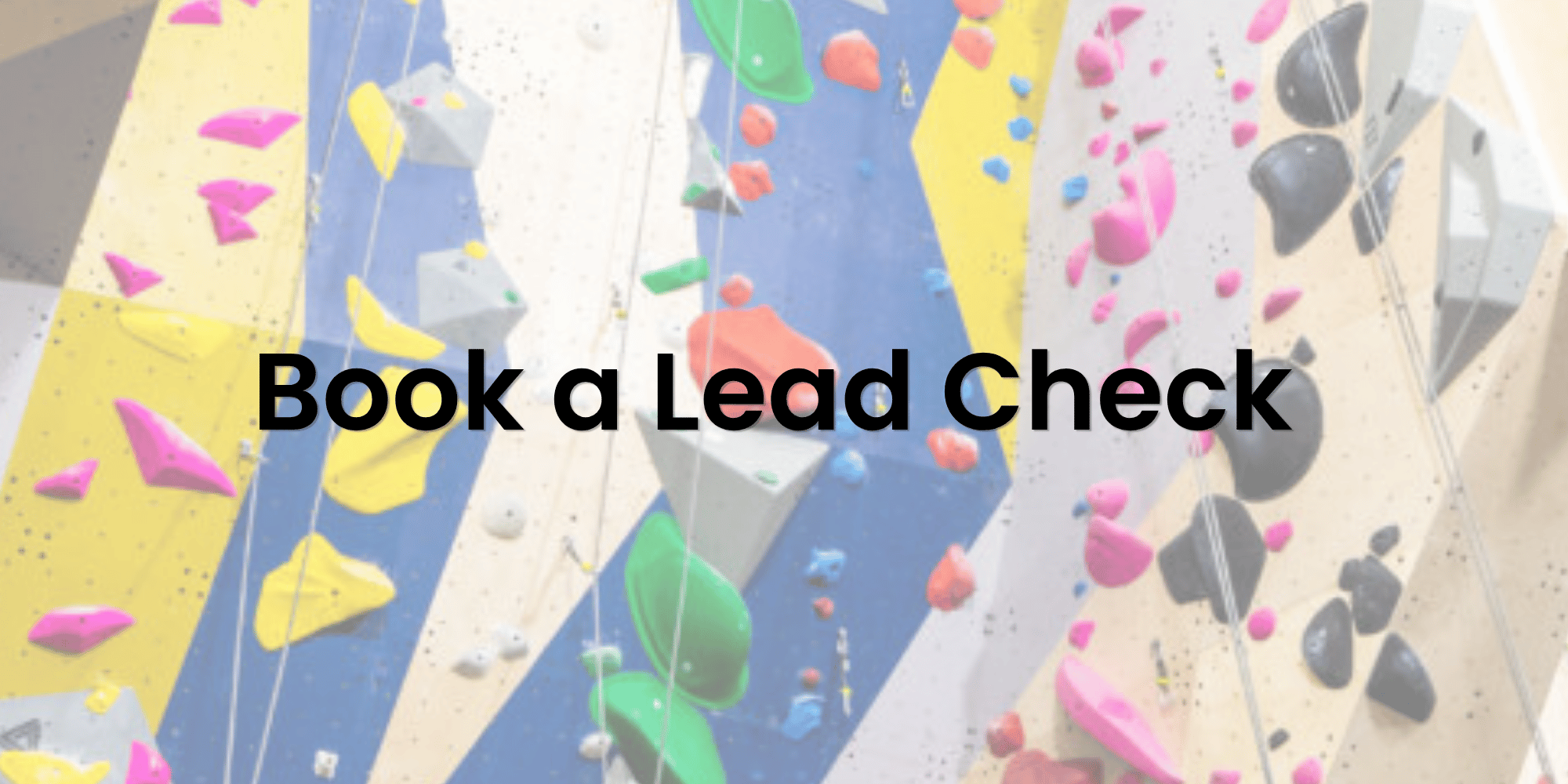 Scheduled Lead Check