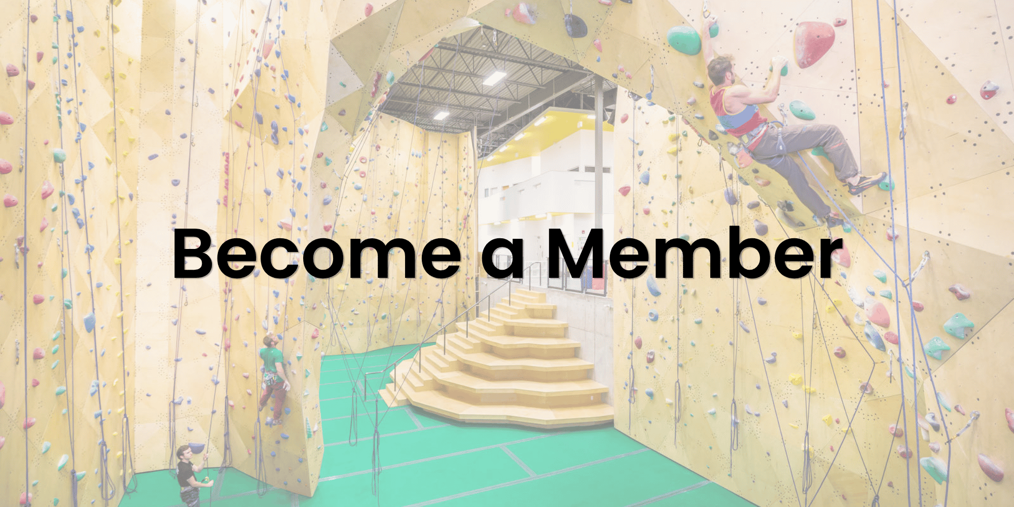 Memberships