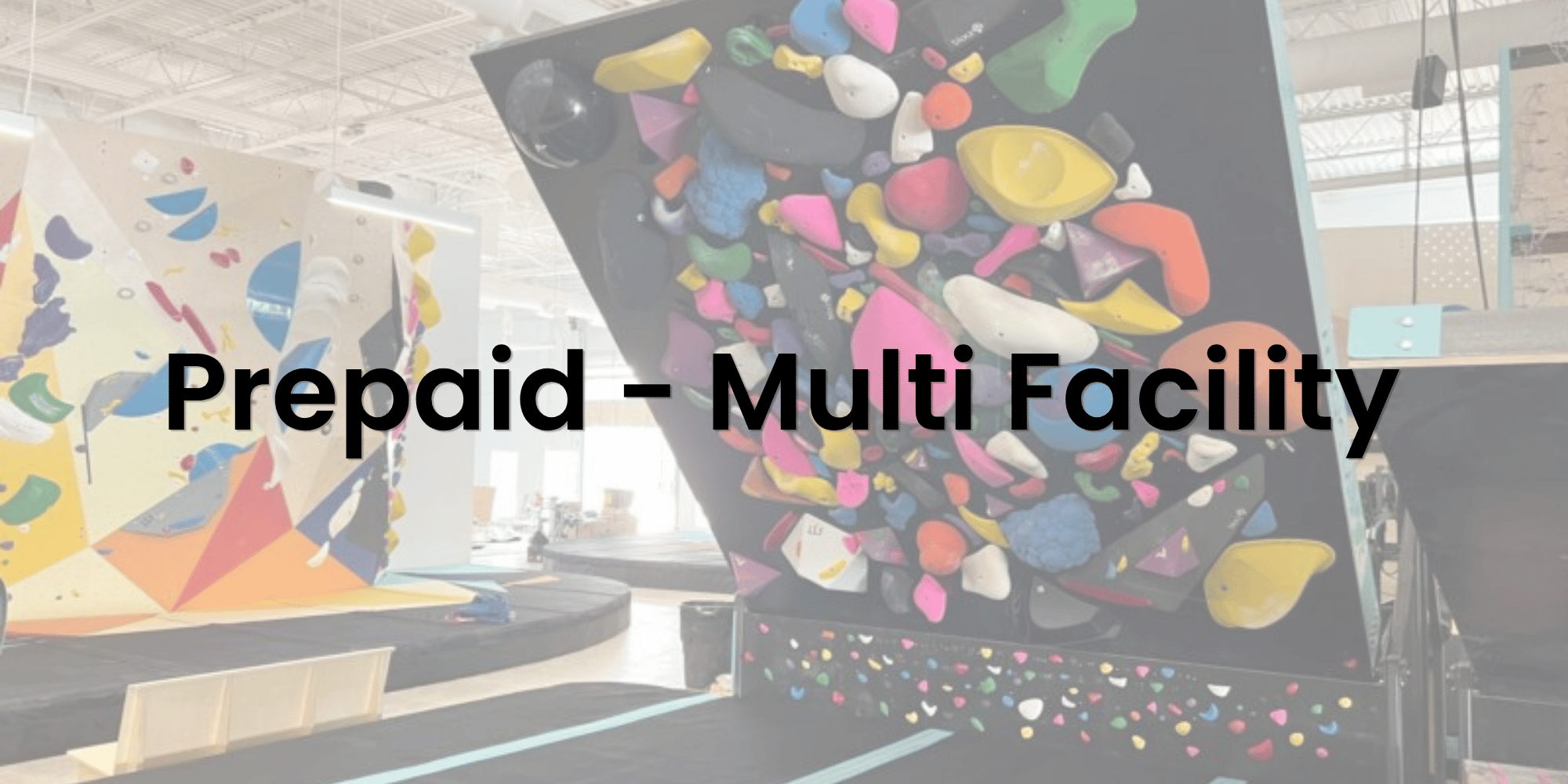 Annual Prepaid Membership - Multi Facility