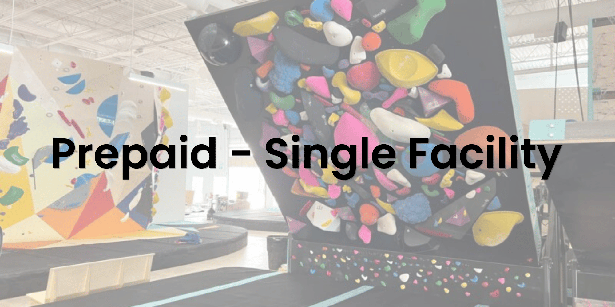 Annual Prepaid Membership - Single Facility