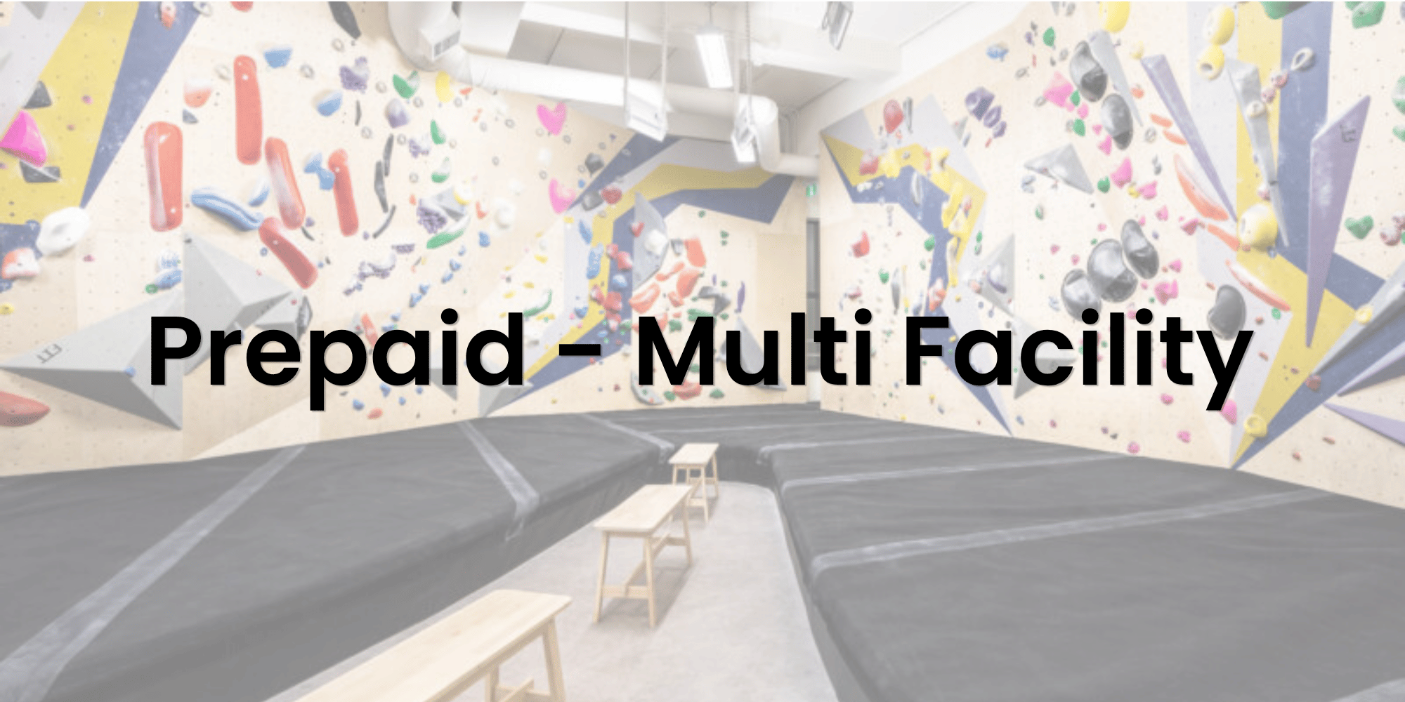 Annual Prepaid Membership - Multi Facility