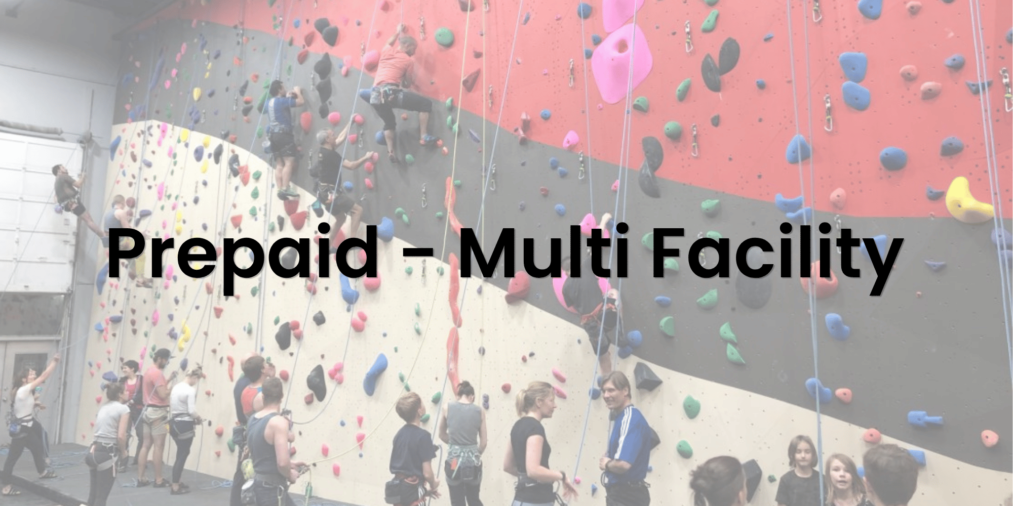 Annual Prepaid Membership - Multi Facility
