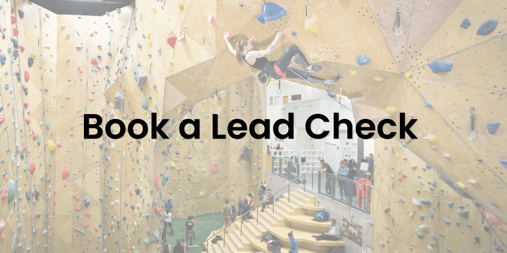 Scheduled Lead Check