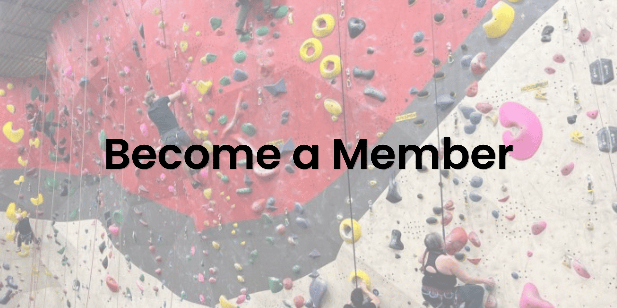 Memberships