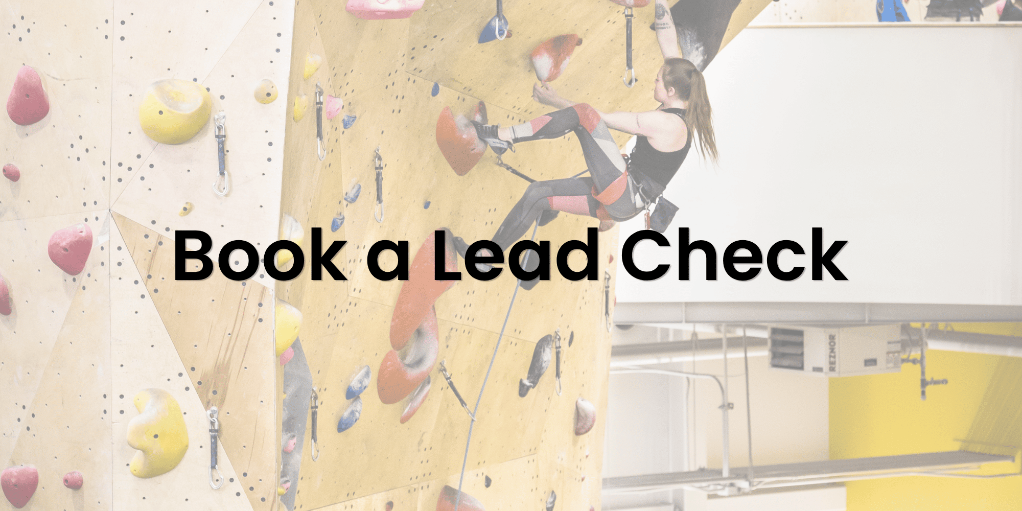 Scheduled Lead Check