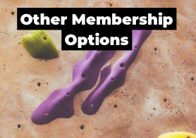 Other Membership Options