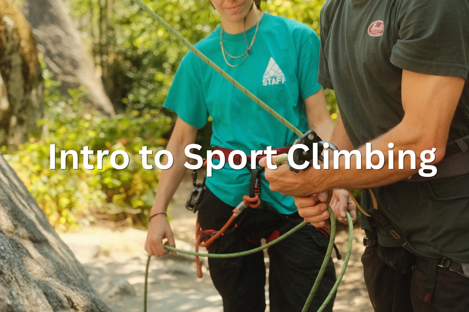 Sport Climbing Inside Out