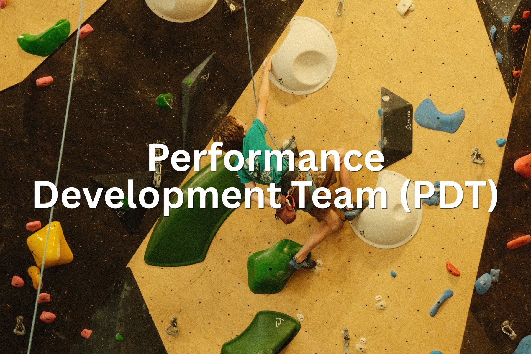Performance Development Team (PDT)