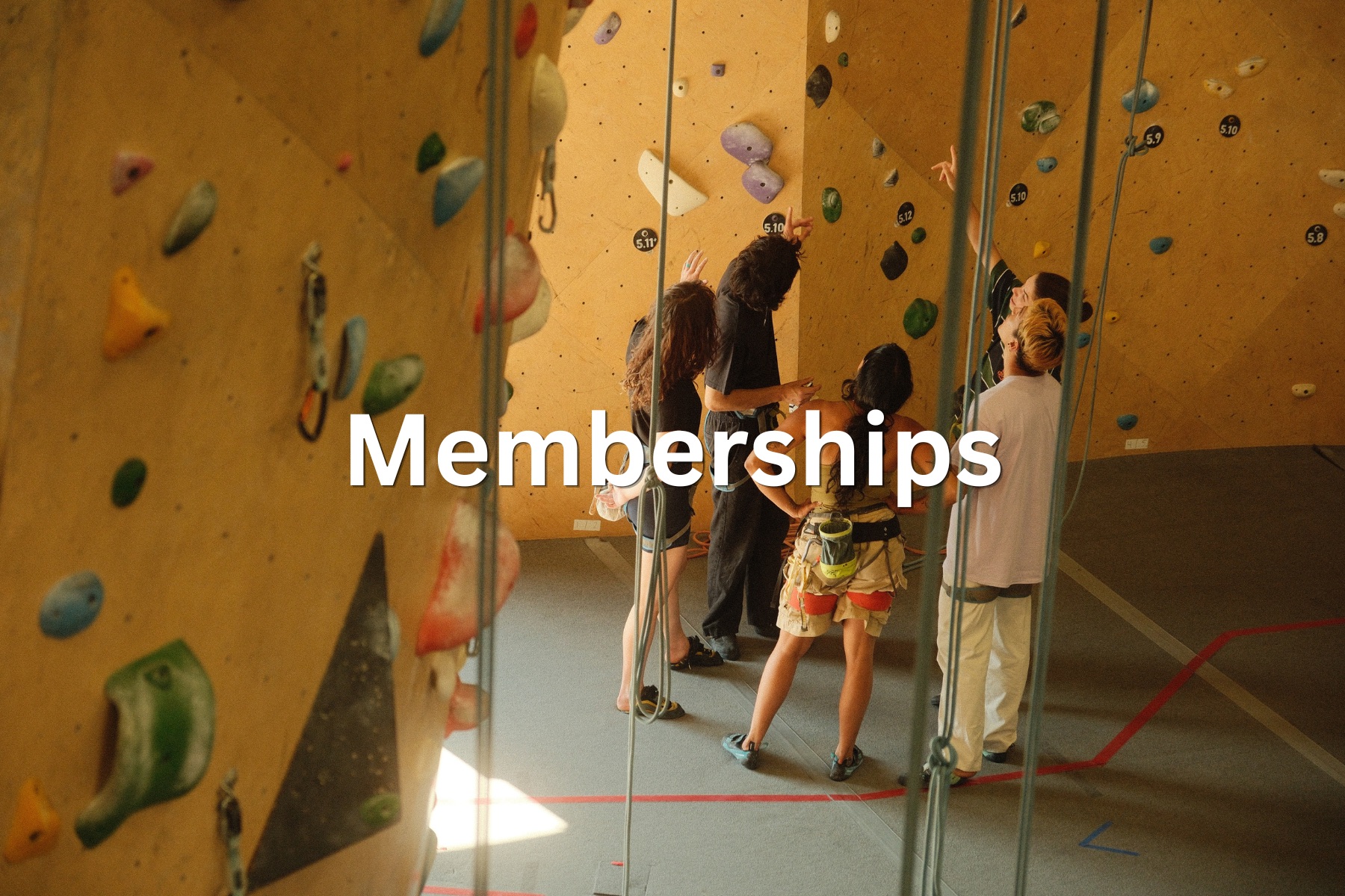 Memberships