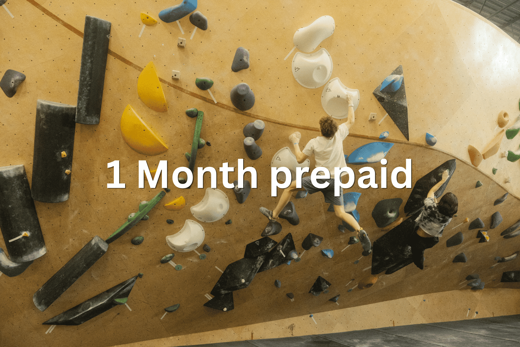 Prepaid 1 Month Pass