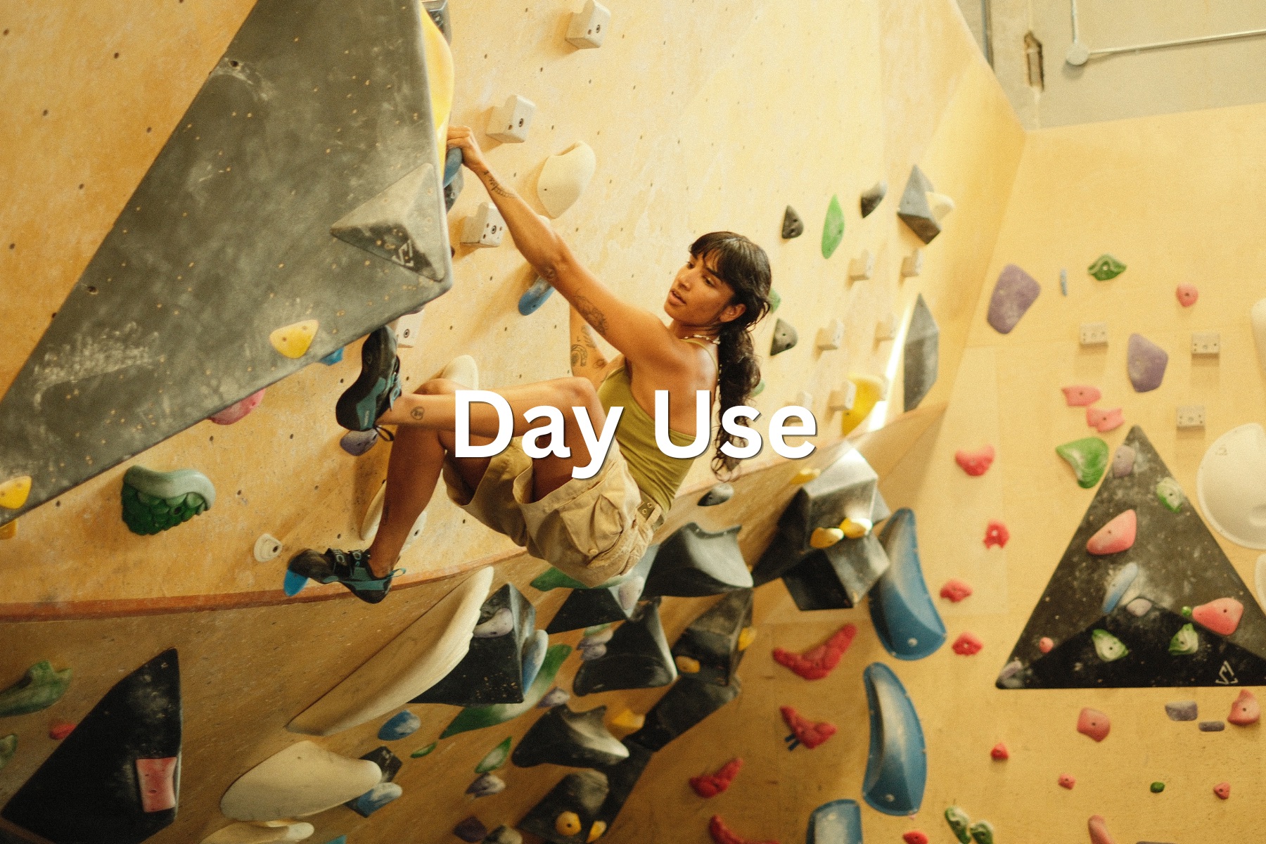 Day Use